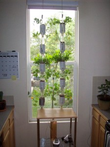 Window Farms