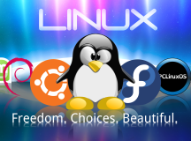 Linux and its domination.