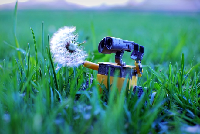 Wall-e Makes a Wish by Morgan/CCBY