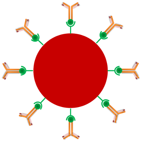 magnetic-bead-1